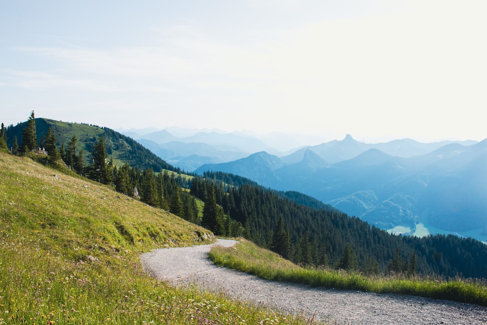 green trees on mountain under white sky during daytime