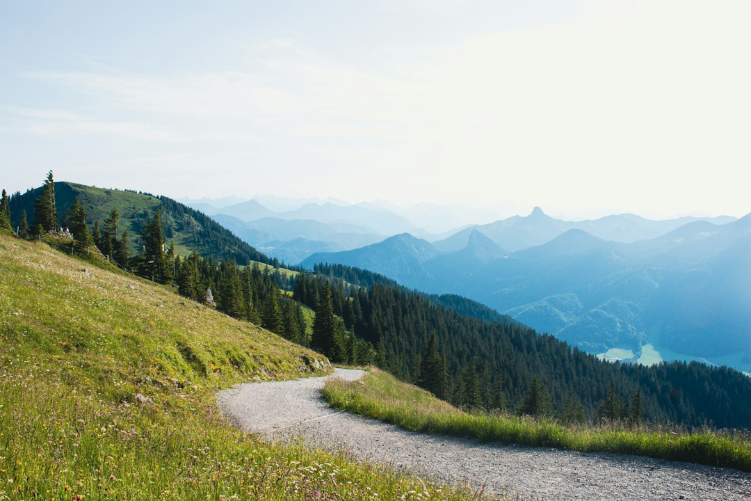 Off the Map: How a Fake Trail in Canada Led Hikers Astray and Spark… — Off the Map, photo 5