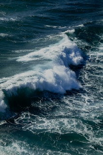 A close-up of a fierce sea wrestling match with waves crashing around the competitors.