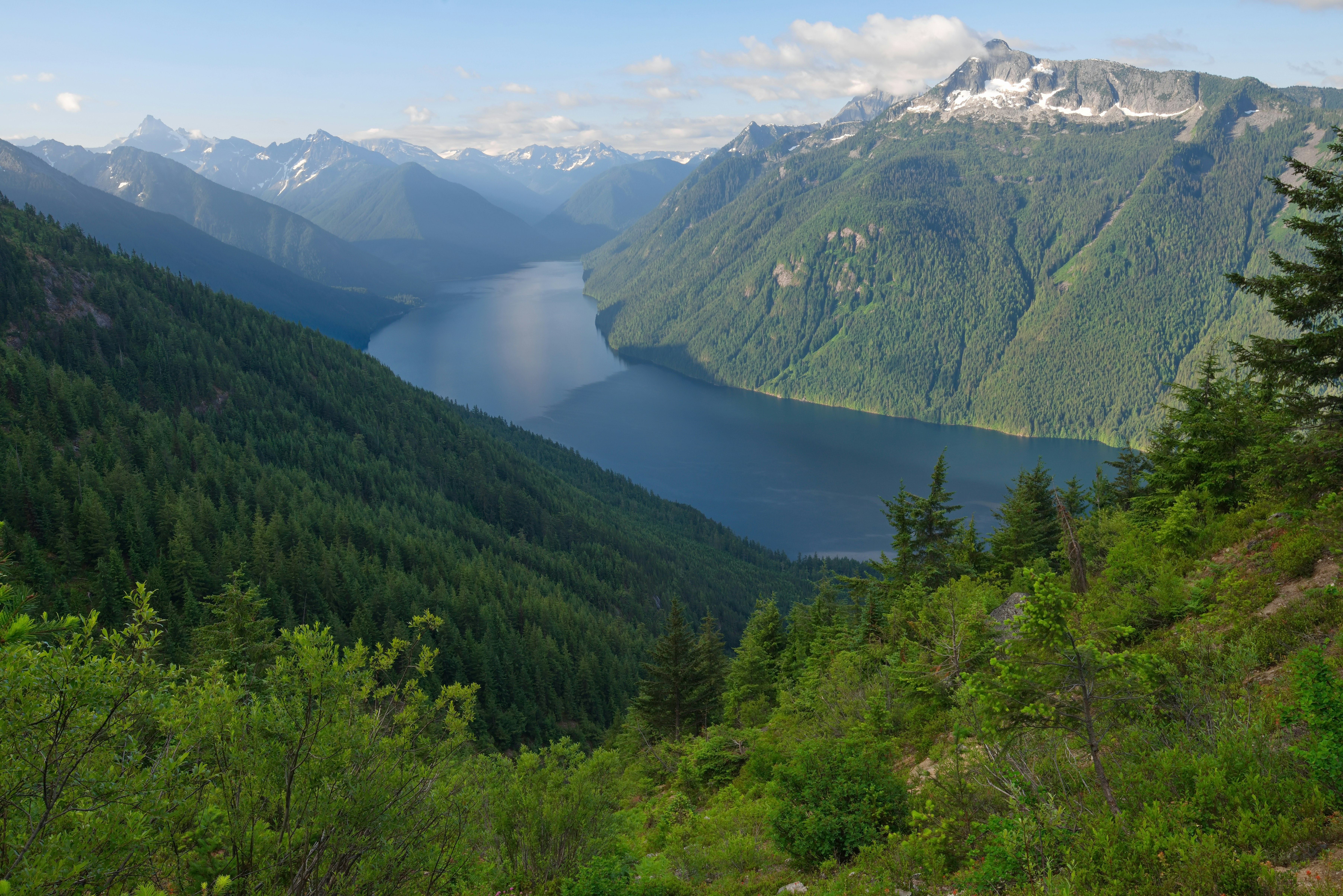 green trees and mountains during daytime