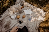 A quiet moment capturing a warm flask resting beside a pastel blue picnic basket on a soft green lawn.