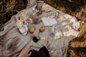 A cozy picnic setup on a light blanket surrounded by green grass. Items include a vase with dried flowers, a glass bottle, a couple of apples, an open book, a pair of reading glasses, a blue glass, and a small black box. The warm tone of the scene suggests a peaceful and leisurely atmosphere.