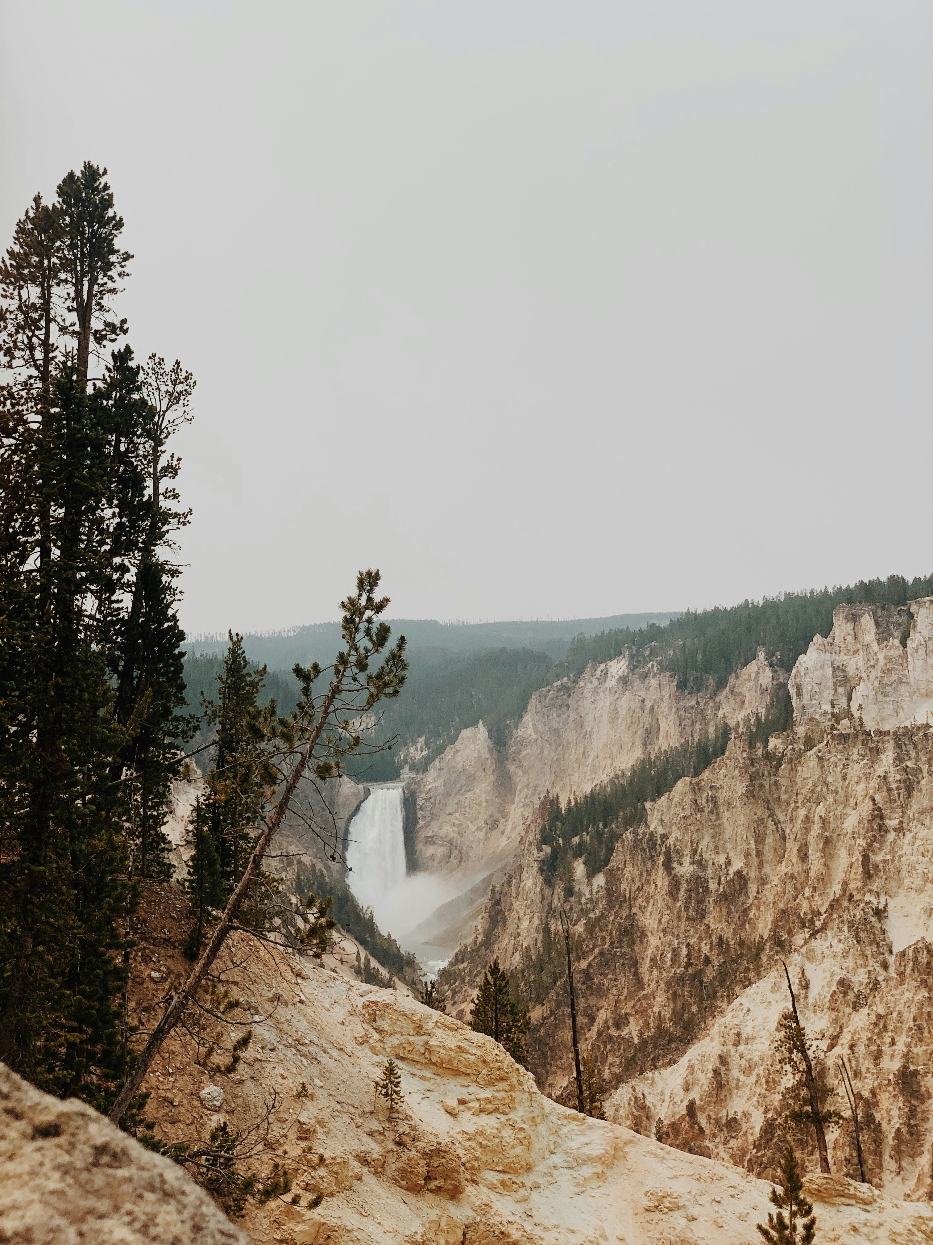 Photo by brendencampana