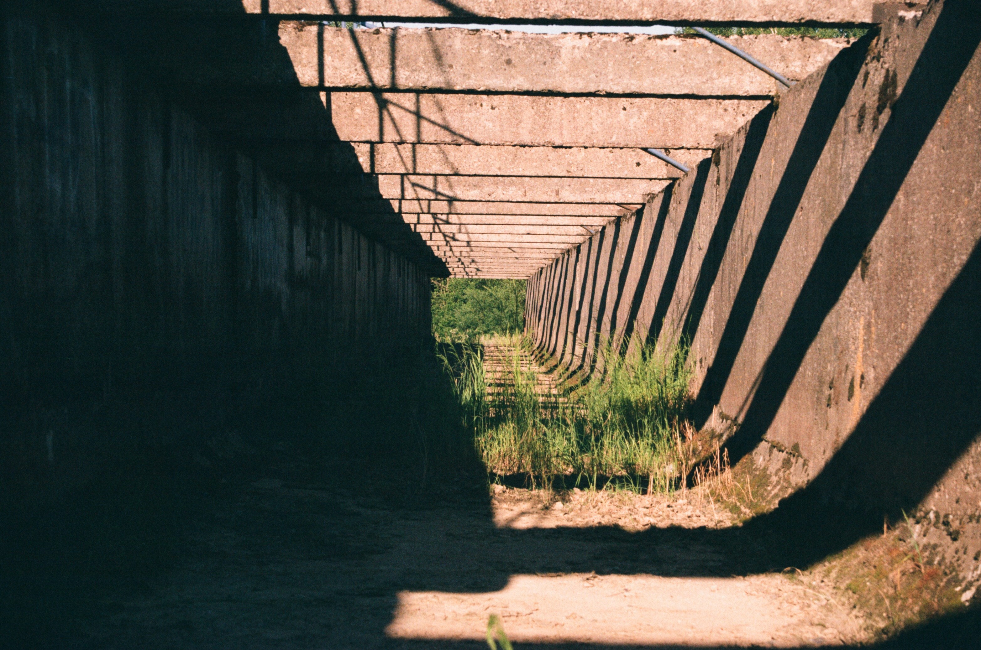 brown wooden fence on brown soil