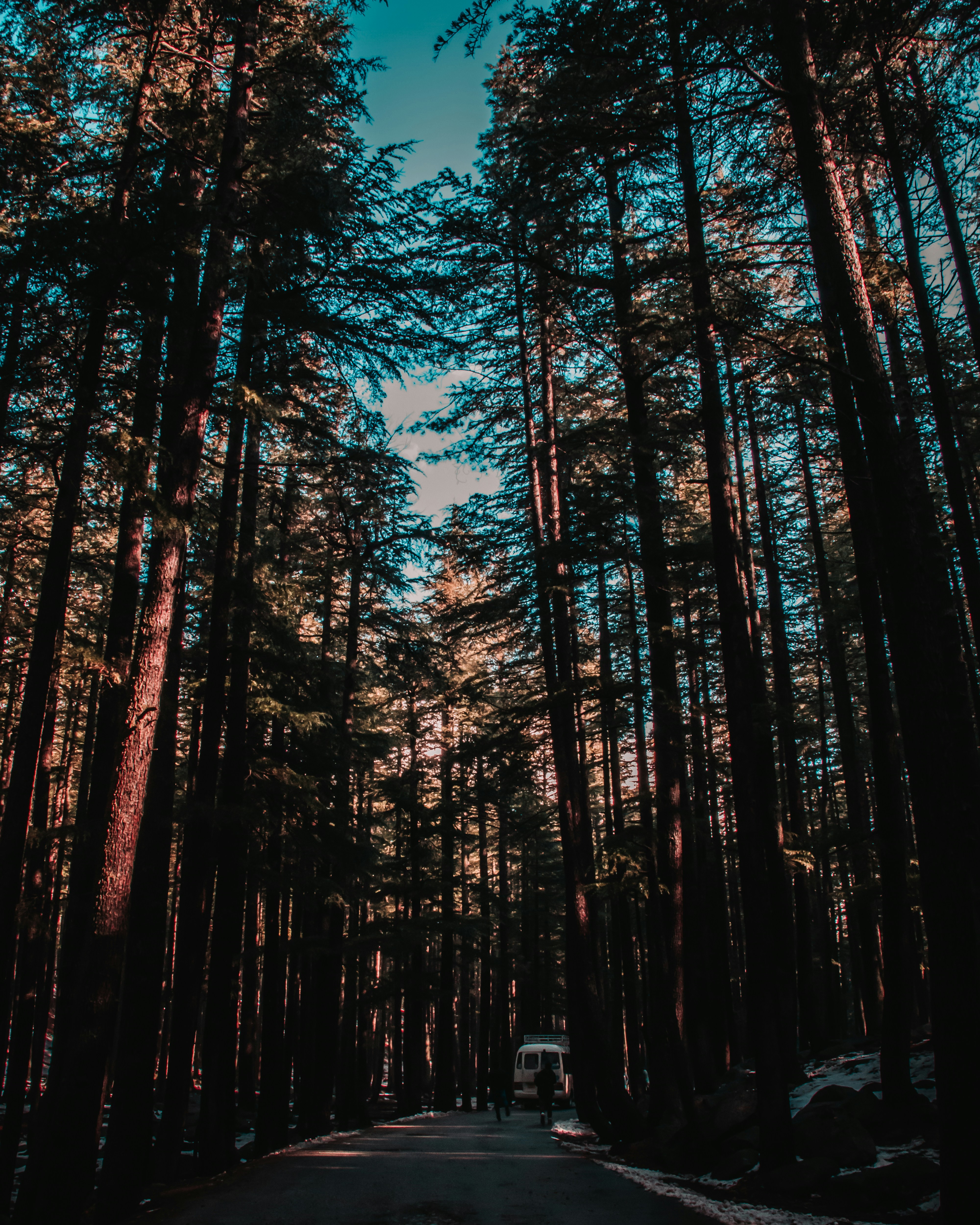 Photo by adeelshabir