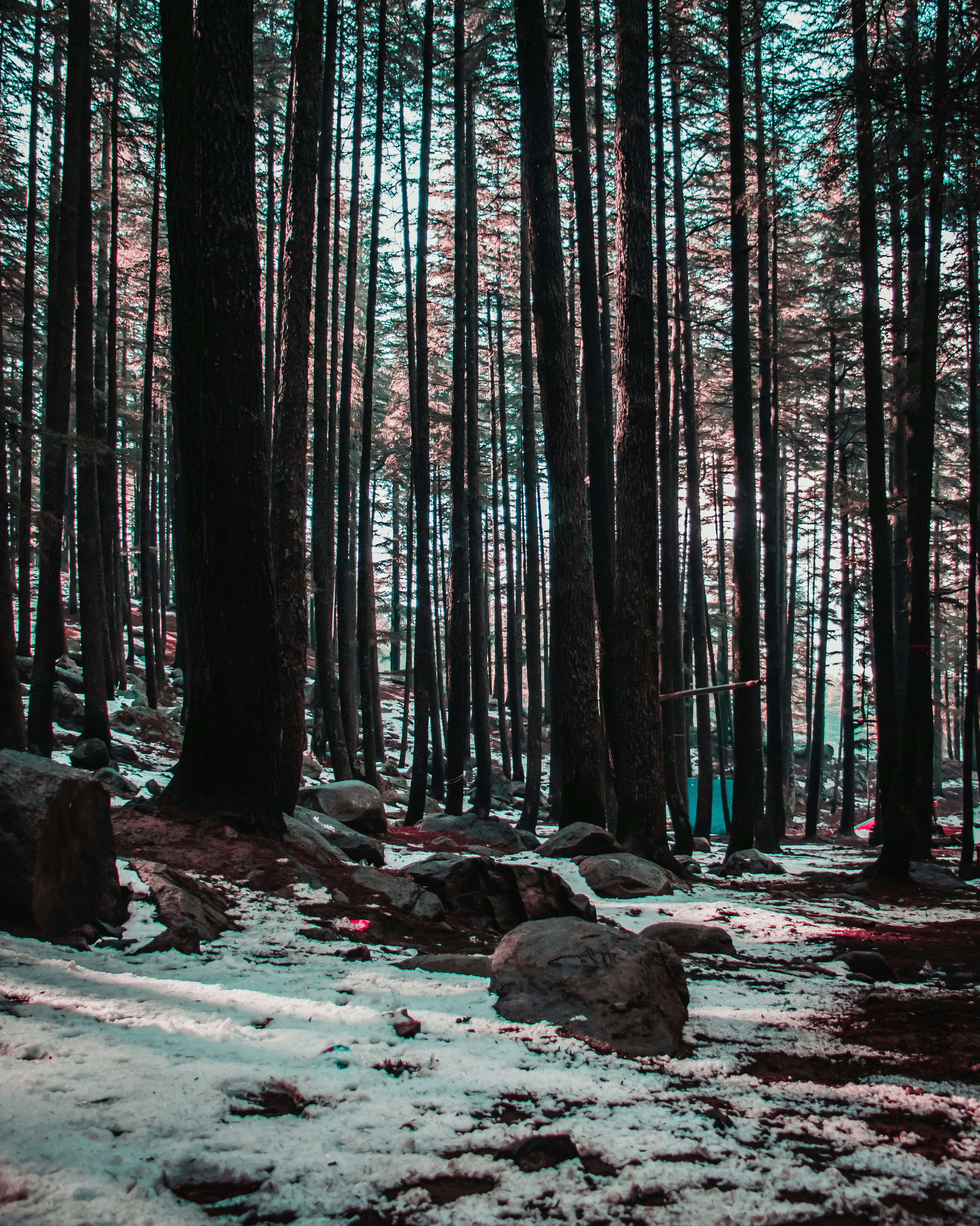 Photo by adeelshabir