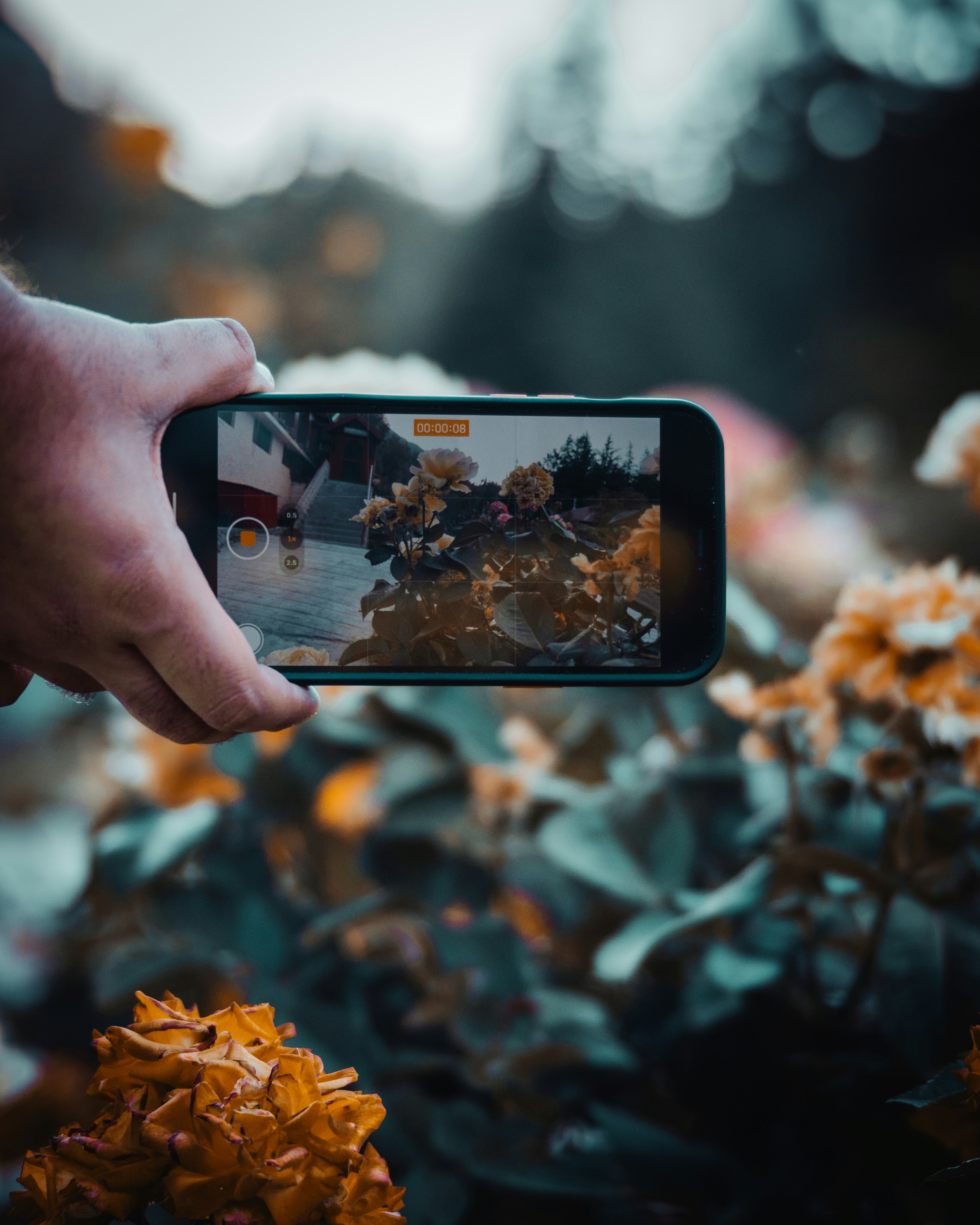 Photo by adeelshabir