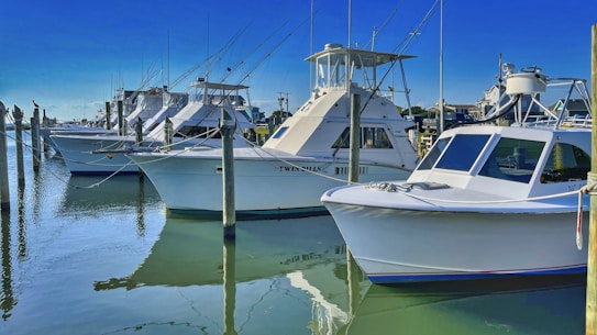 Several white boats are docked in a marina, lined up neatly along the wooden piers. The water is calm, reflecting the boats and the clear blue sky. Fishing rods are visible on the boats, indicating they might be used for sport fishing.