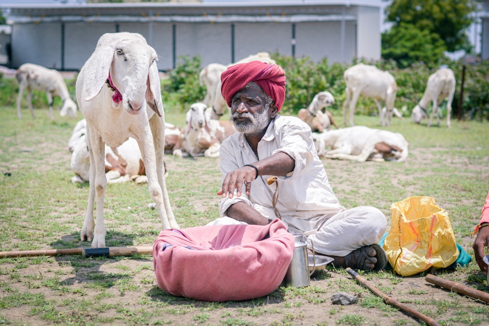 woman in pink dress sitting on ground with white horse during daytime