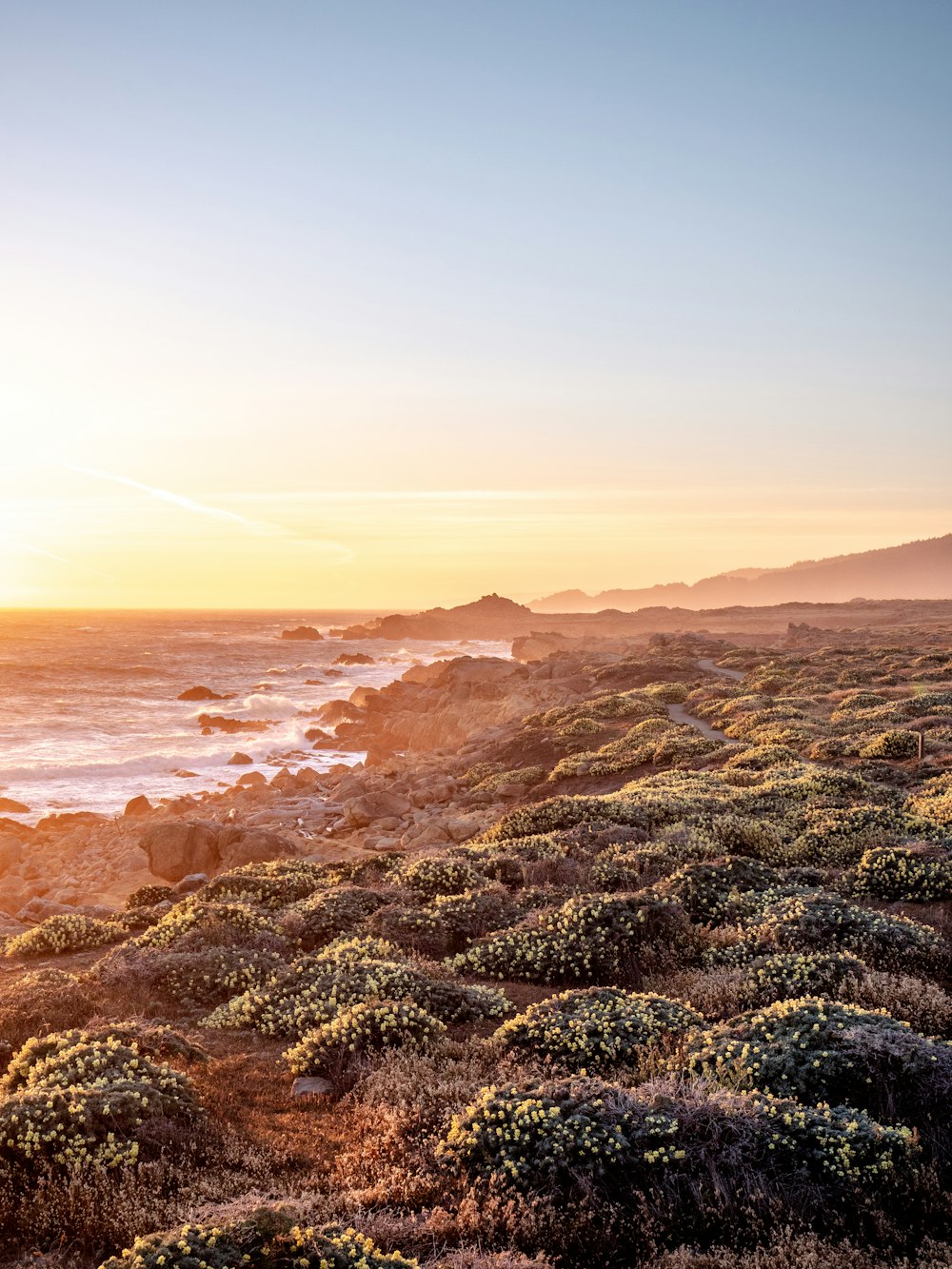 brown rocky shore during daytime