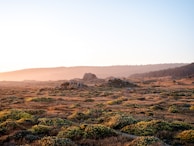 green grass field near brown mountain during daytime
