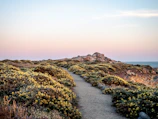 A winding dirt path leading through the retreat’s peaceful desert gardens at dusk.