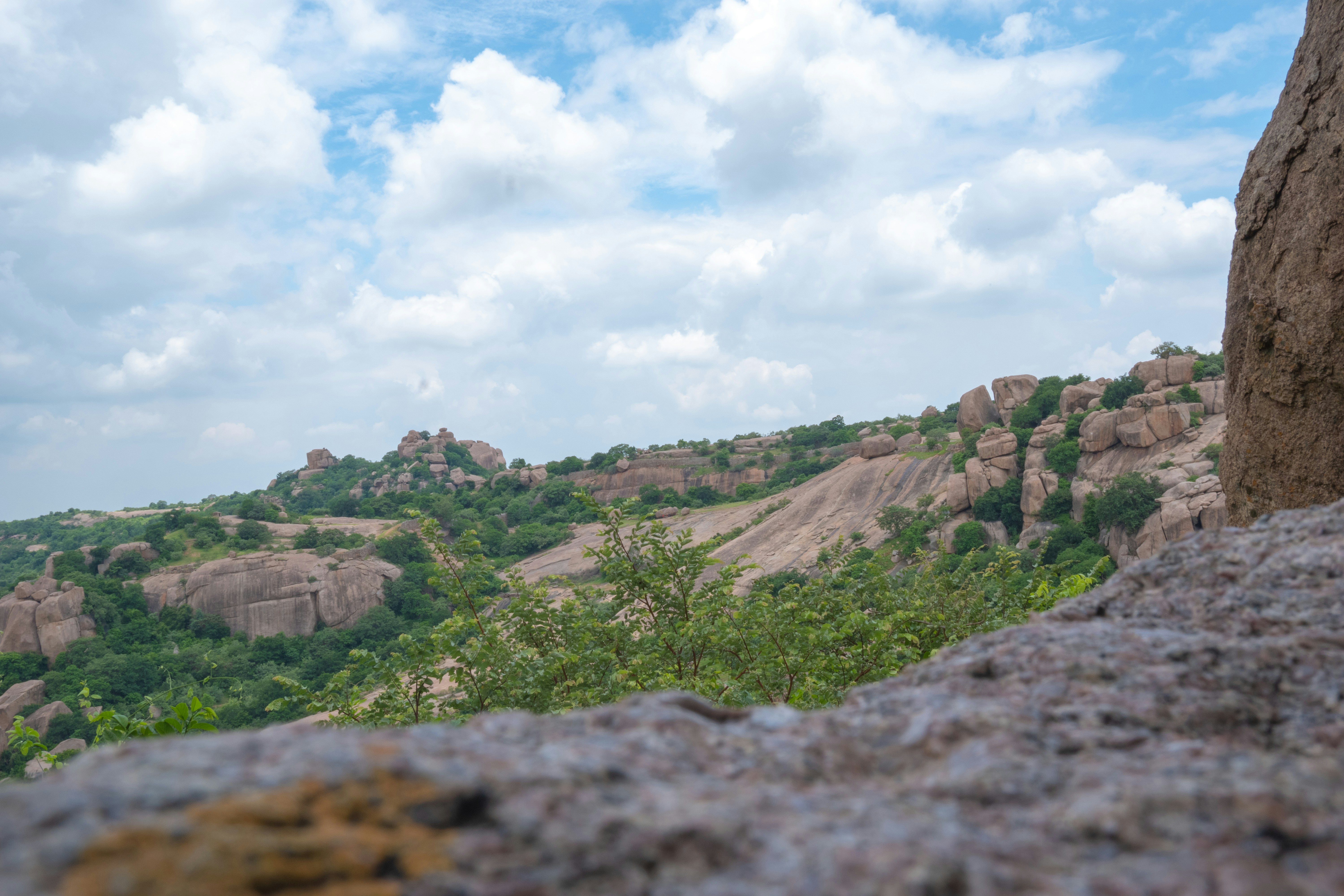 green grass field under white clouds during daytime
