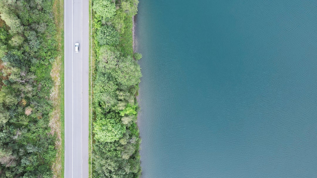 green grass field near body of water during daytime