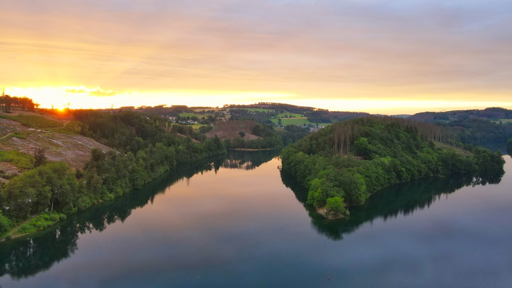 green trees beside river during daytime