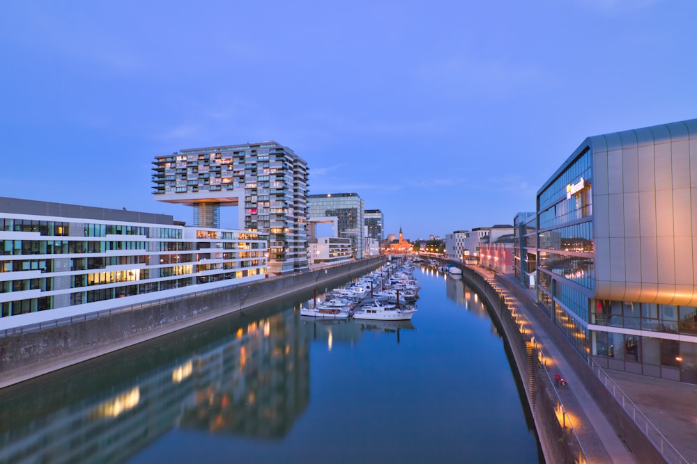 city skyline across river during daytime