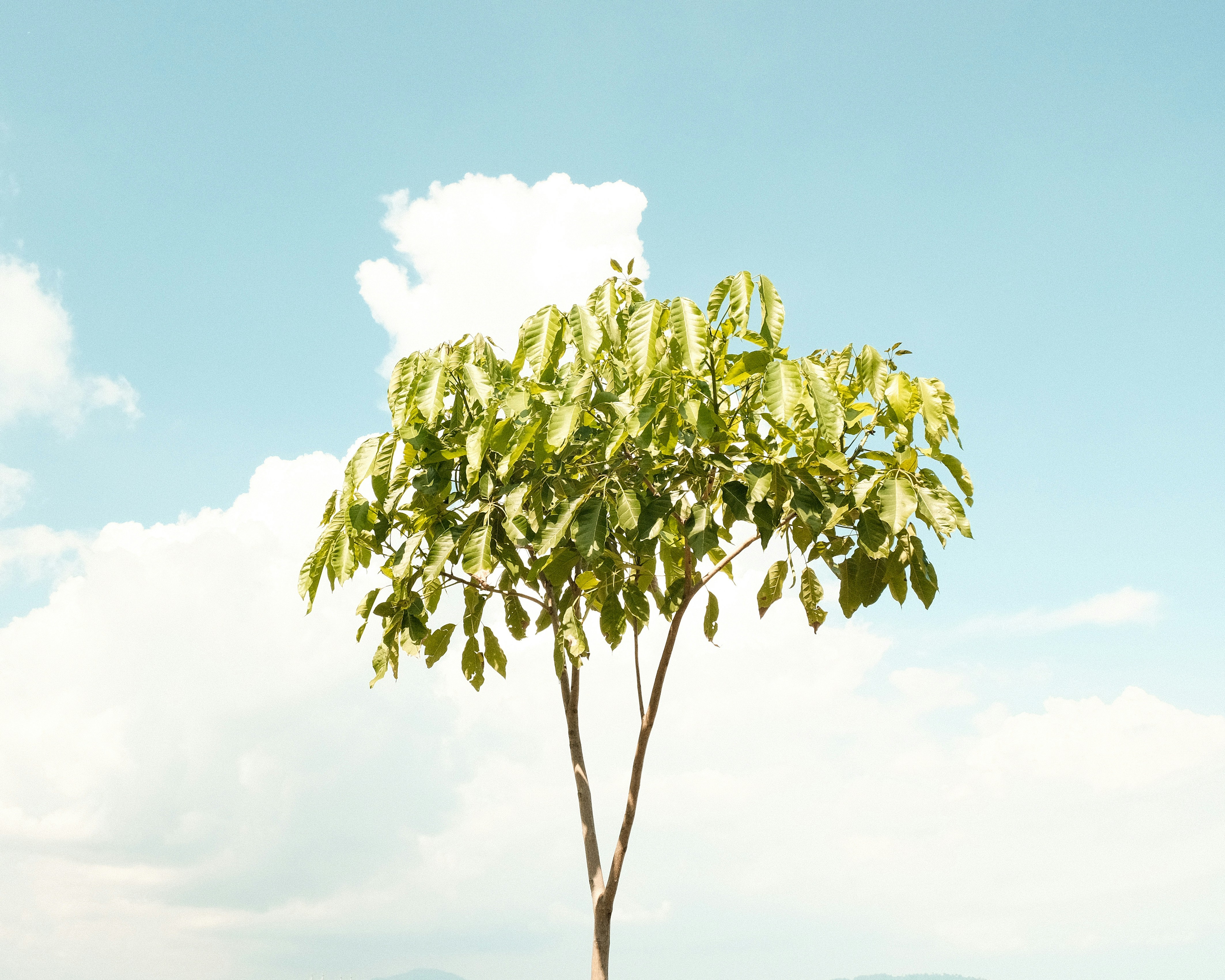 Photo by framedinframes