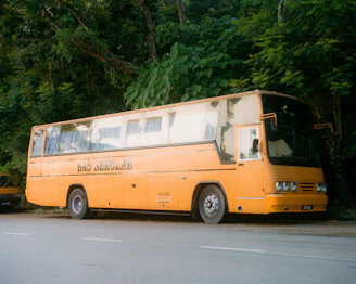 yellow and white bus on road during daytime