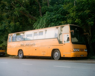 yellow and white bus on road during daytime