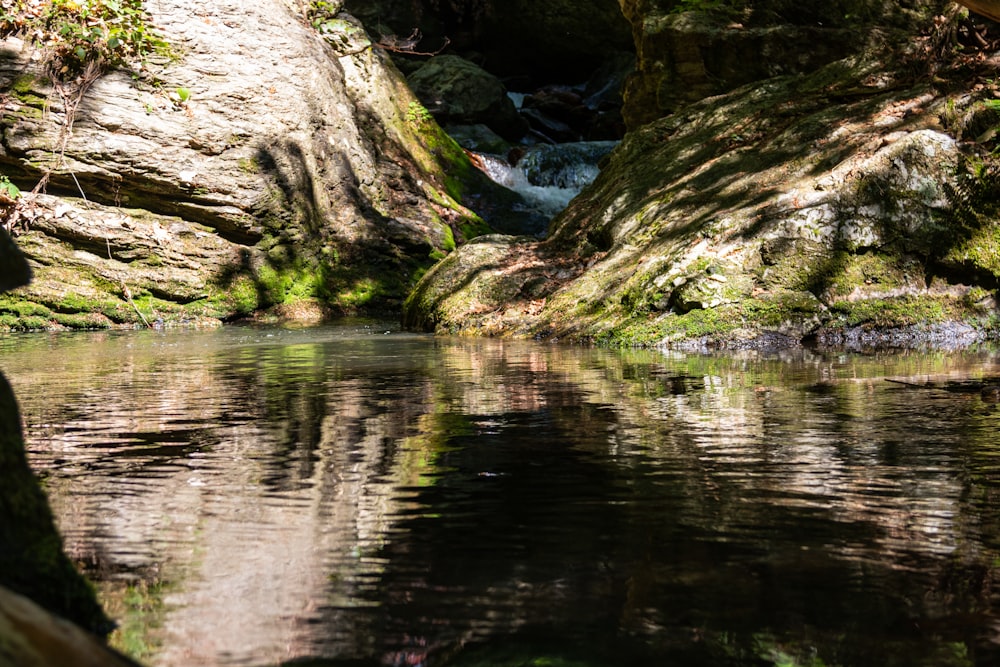 brown and green rock formation on body of water during daytime