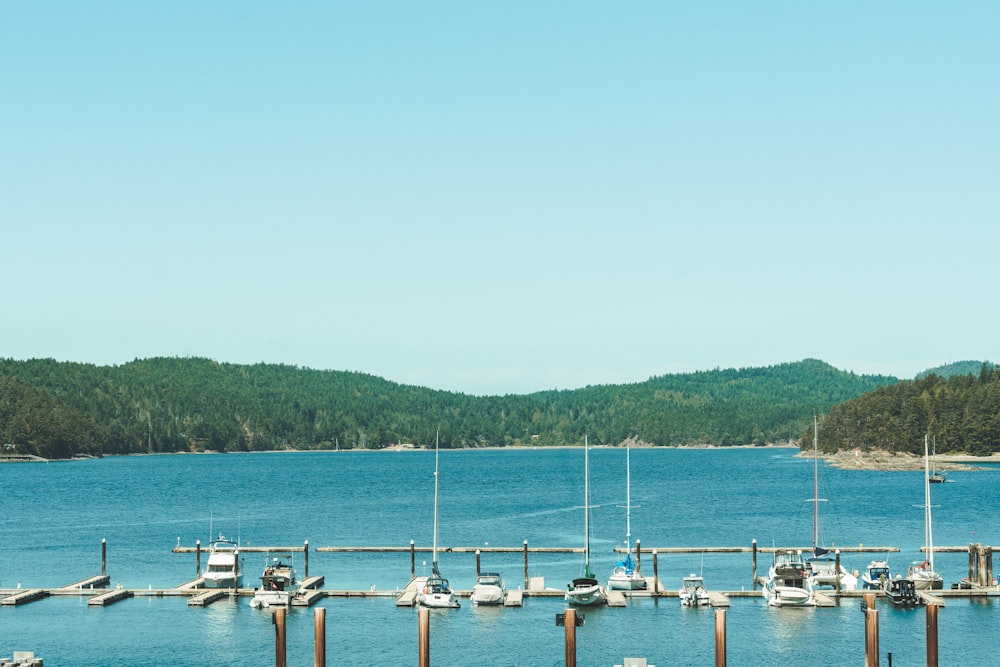 white and blue boats on sea during daytime