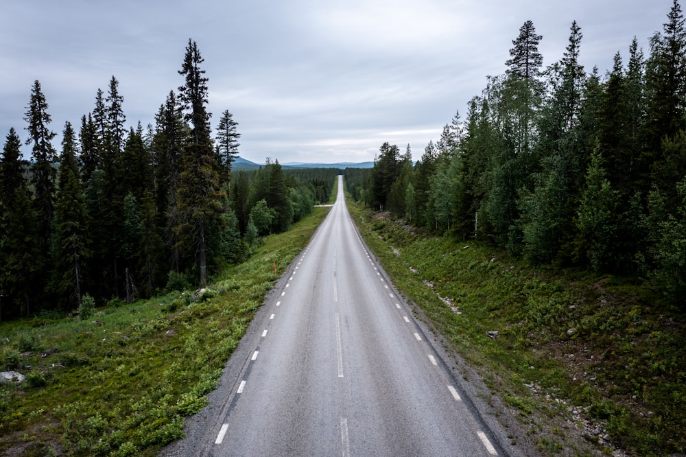 gray concrete road between green trees under blue sky during daytime