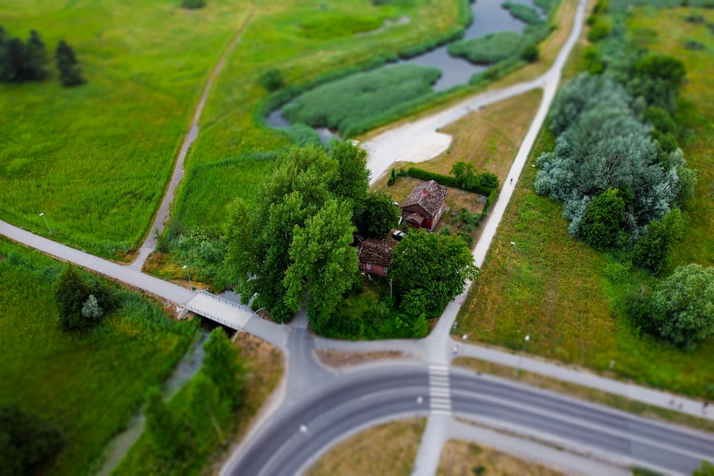 aerial view of green trees and road