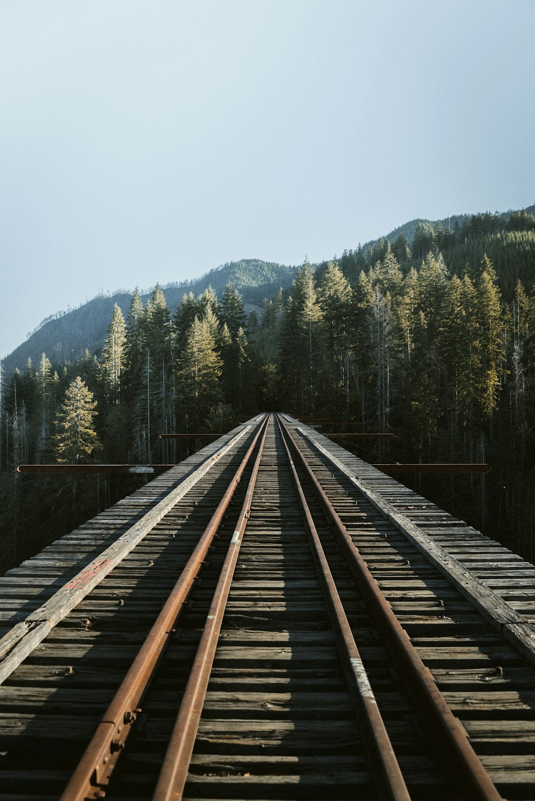 brown train rail near green trees during daytime