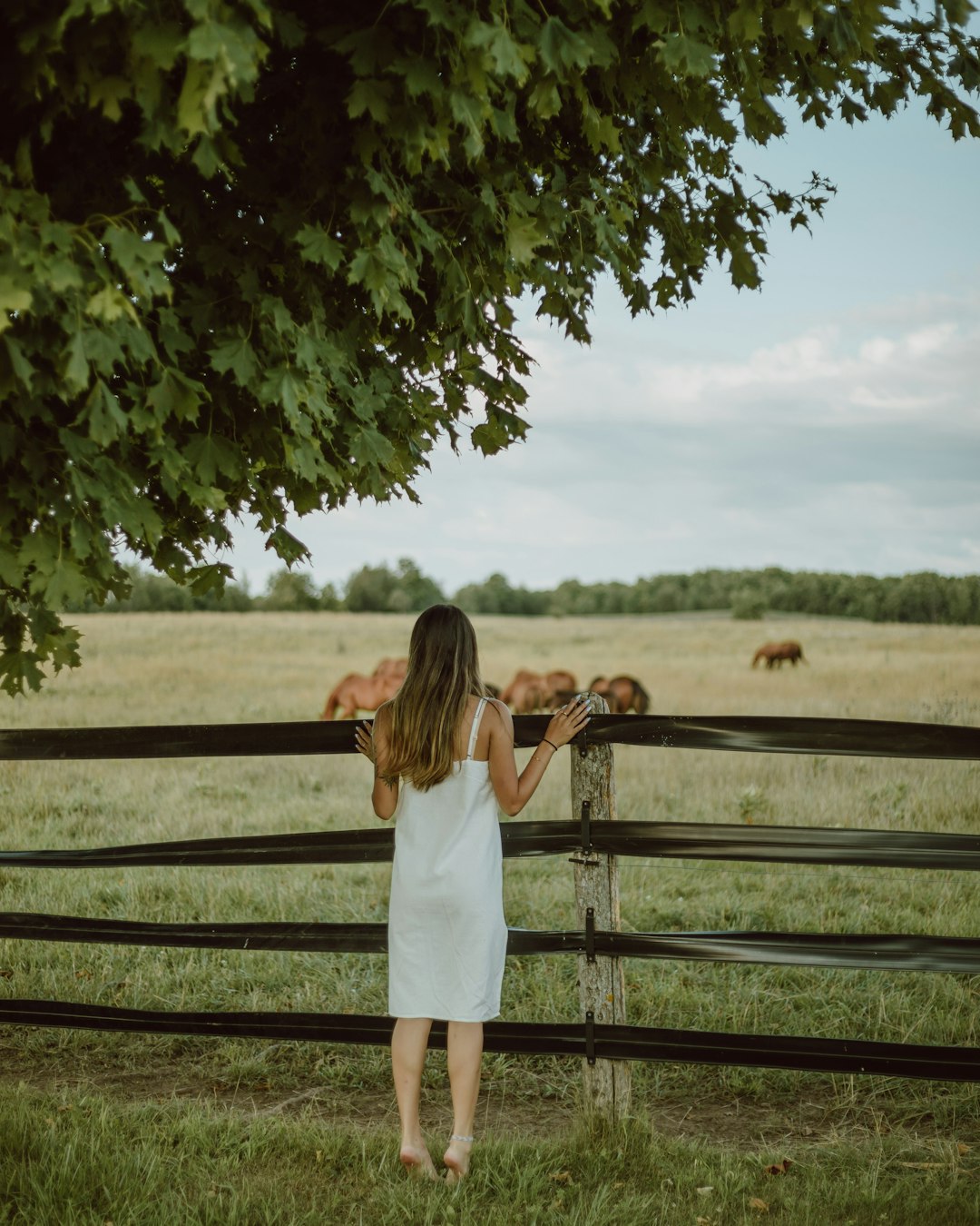 woman in white dress standing beside brown wooden fence during daytime