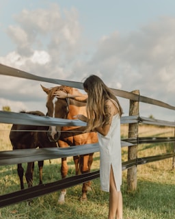 A woman in a white dress with long hair is gently touching the head of a brown horse over a wooden fence. Another smaller dark horse stands nearby in the sunny, grassy field. The sky is partly cloudy and the scene conveys a peaceful, serene countryside atmosphere.