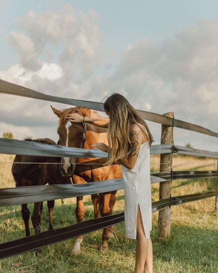 A woman in a white dress with long hair is gently touching the head of a brown horse over a wooden fence. Another smaller dark horse stands nearby in the sunny, grassy field. The sky is partly cloudy and the scene conveys a peaceful, serene countryside atmosphere.