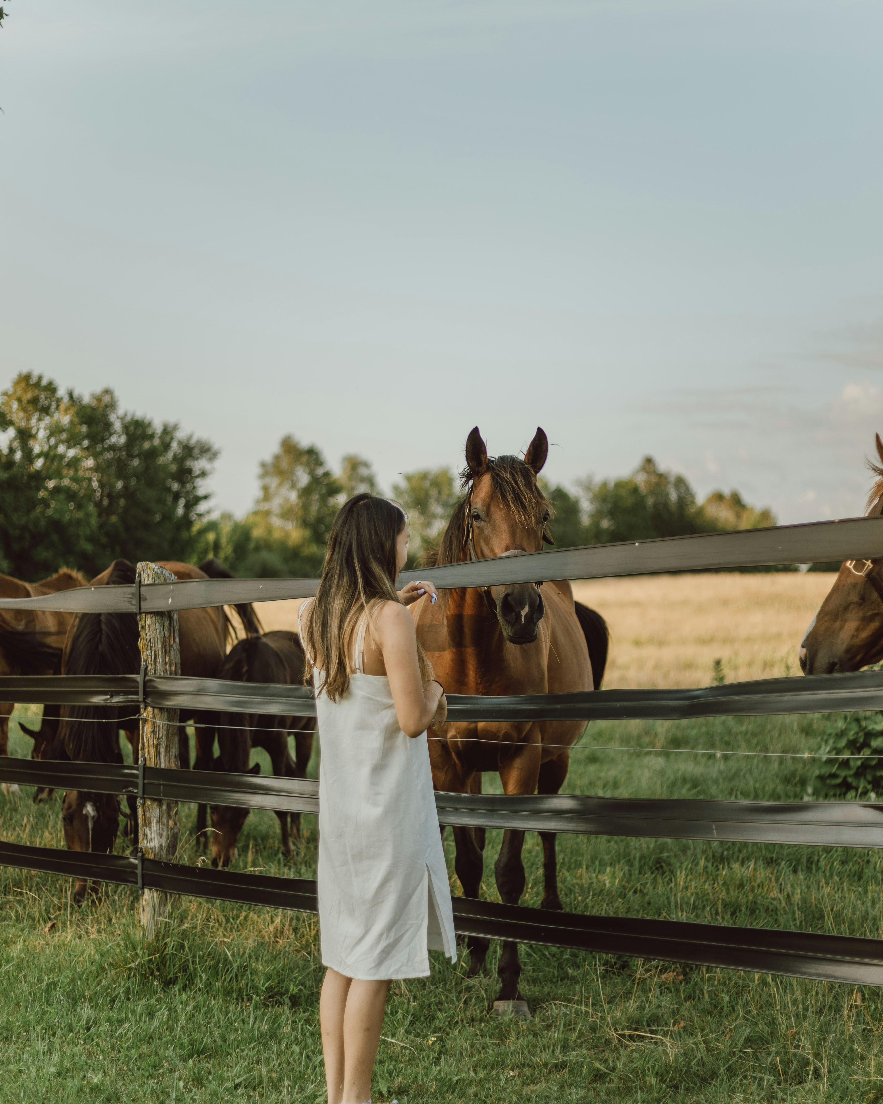 Photo by majestical_jasmin