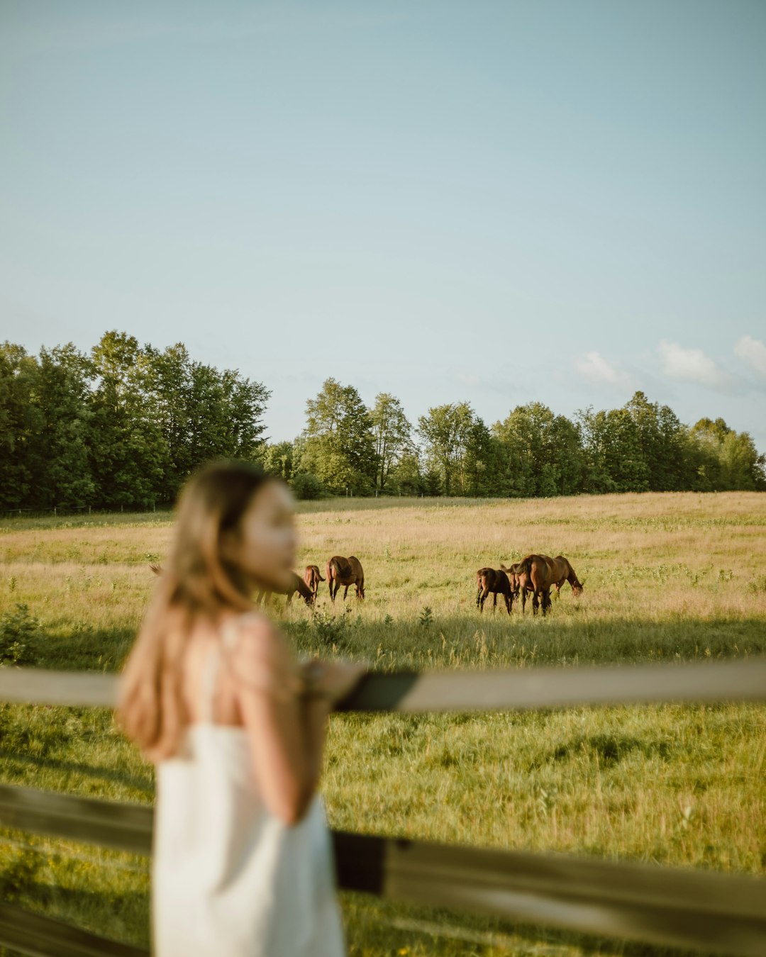 girl in white long sleeve shirt standing beside brown cow during daytime