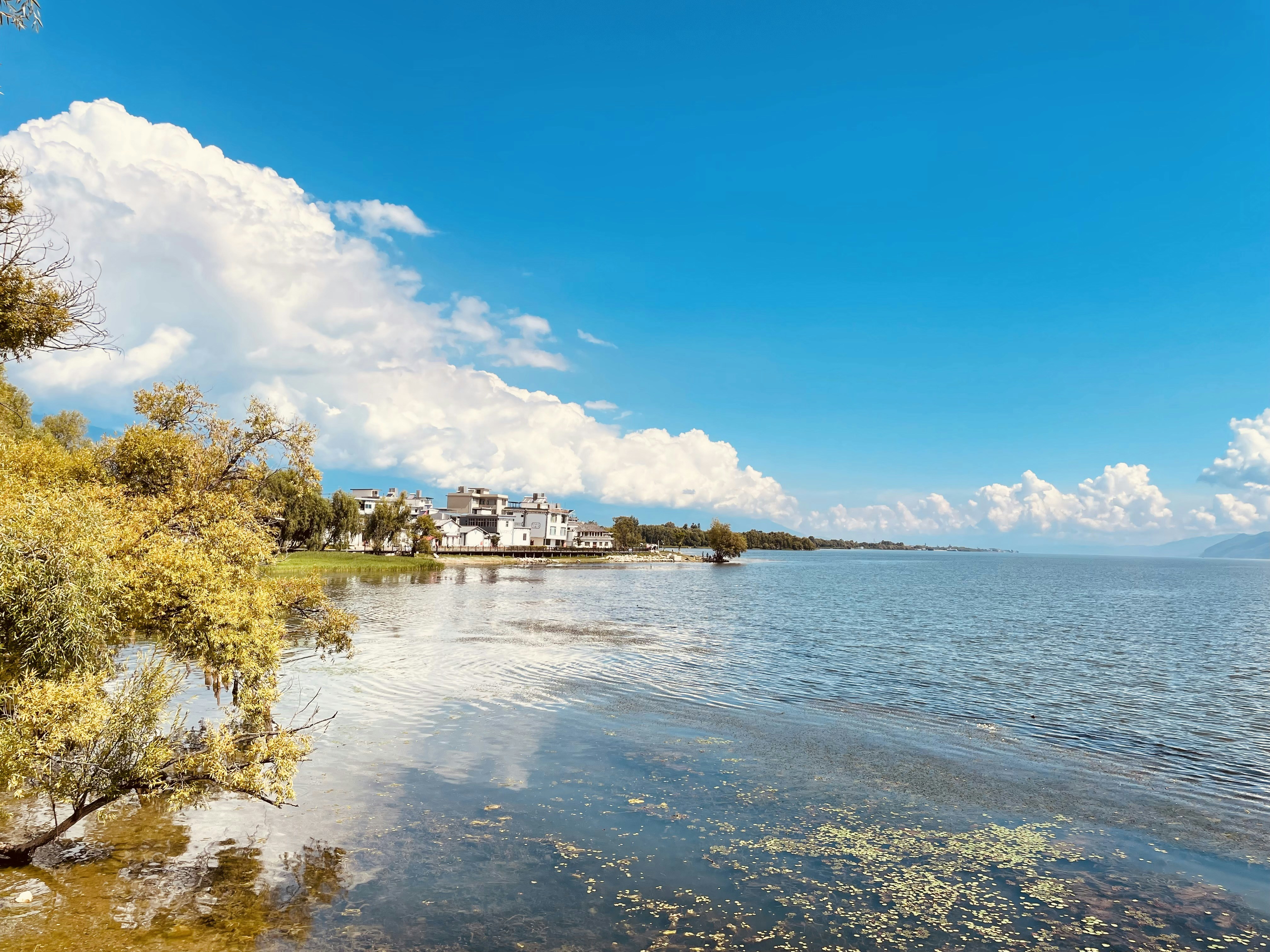 Photo by dinteresting