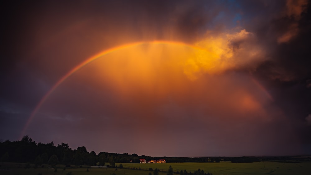 green grass field under orange sky