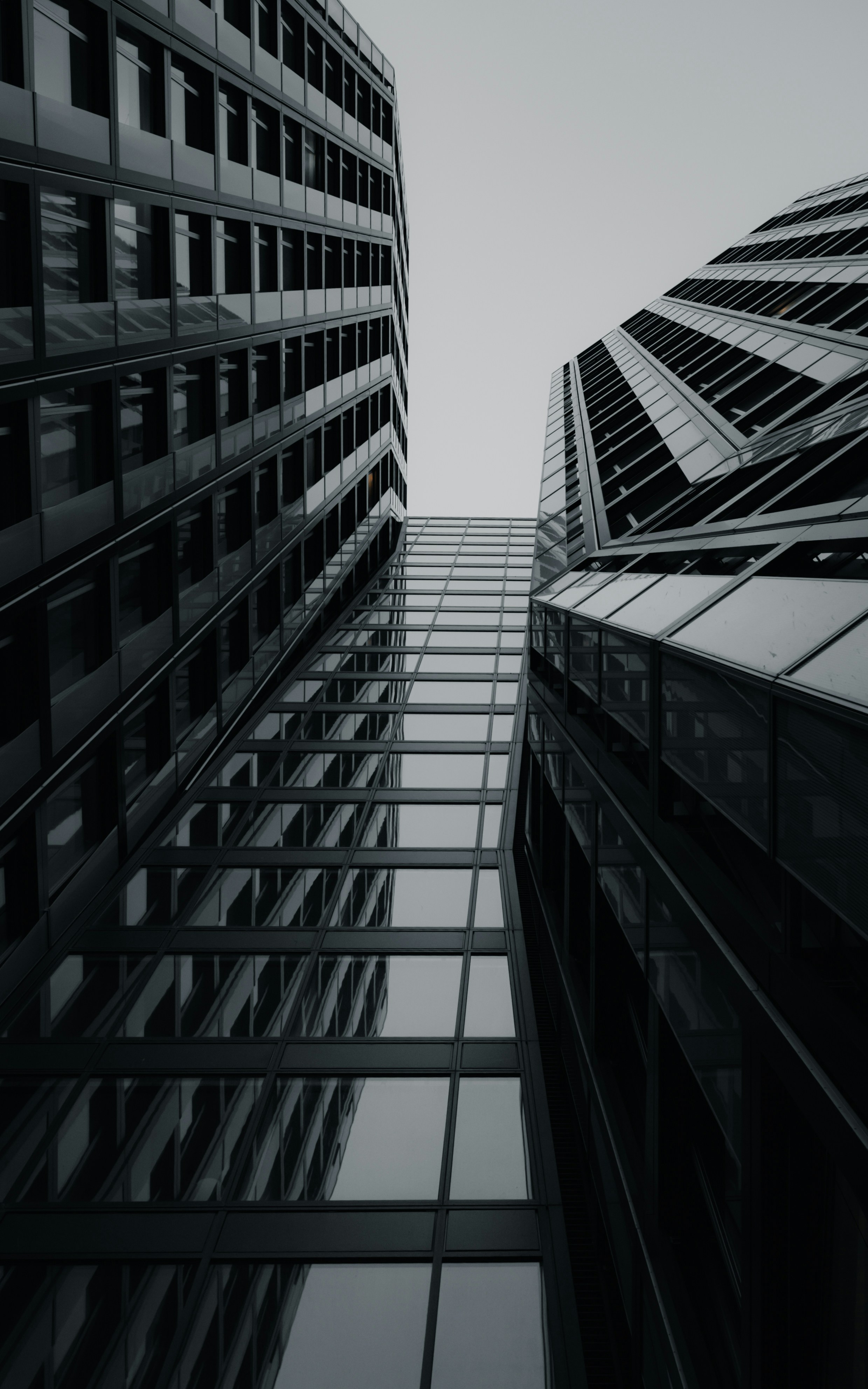 Photo by moisamihai092