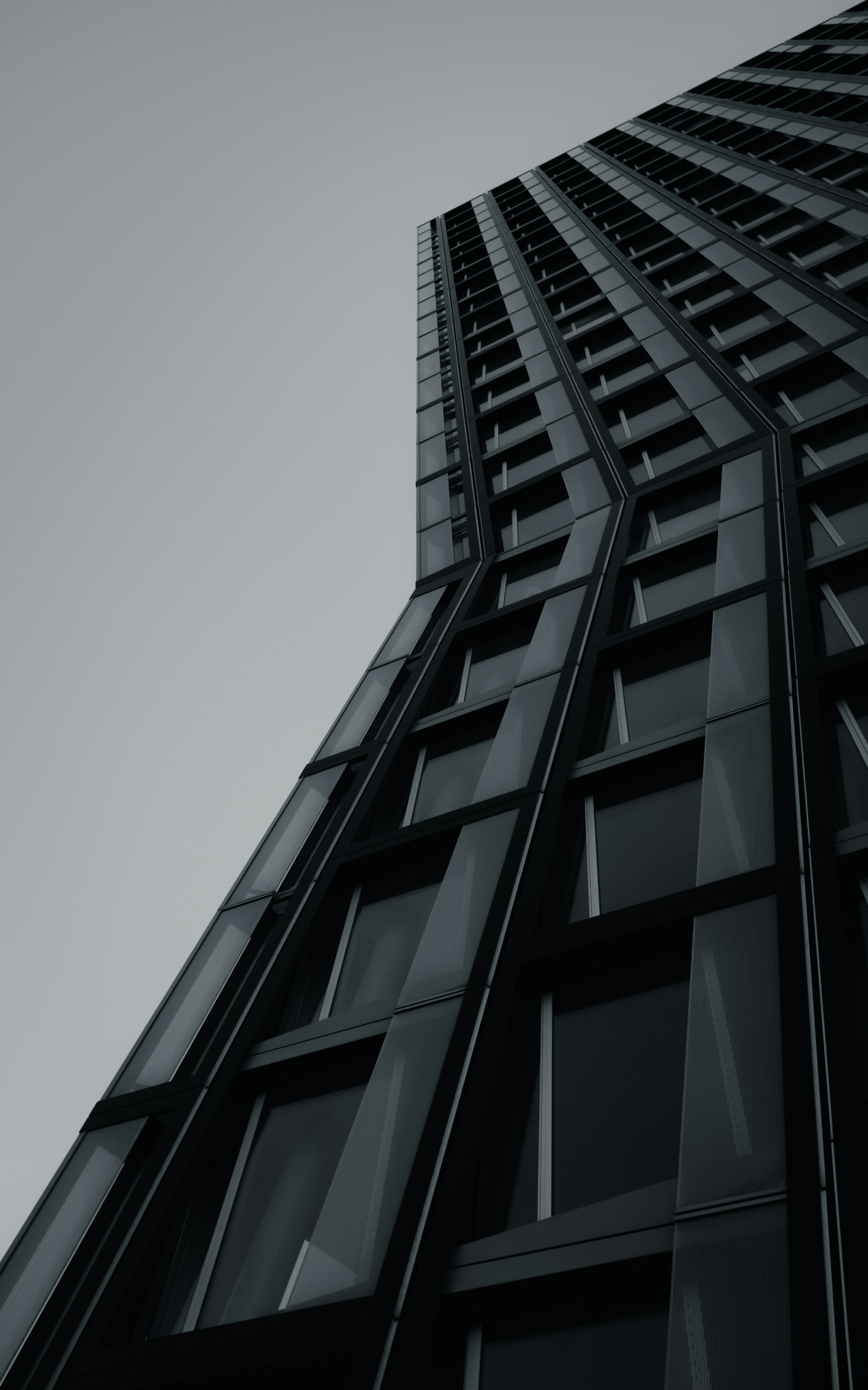 Photo by moisamihai092