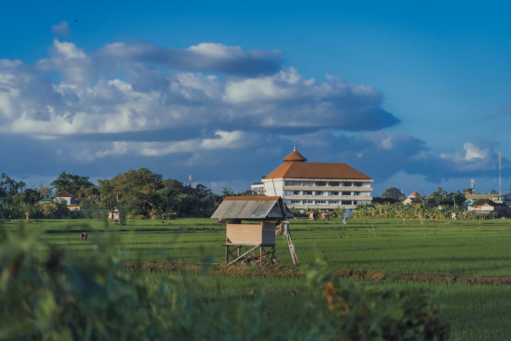 Casa marrón y blanca en campo de hierba verde bajo cielo azul durante el día