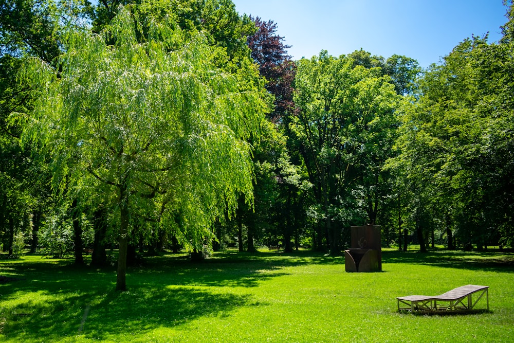 campo de grama verde com árvores