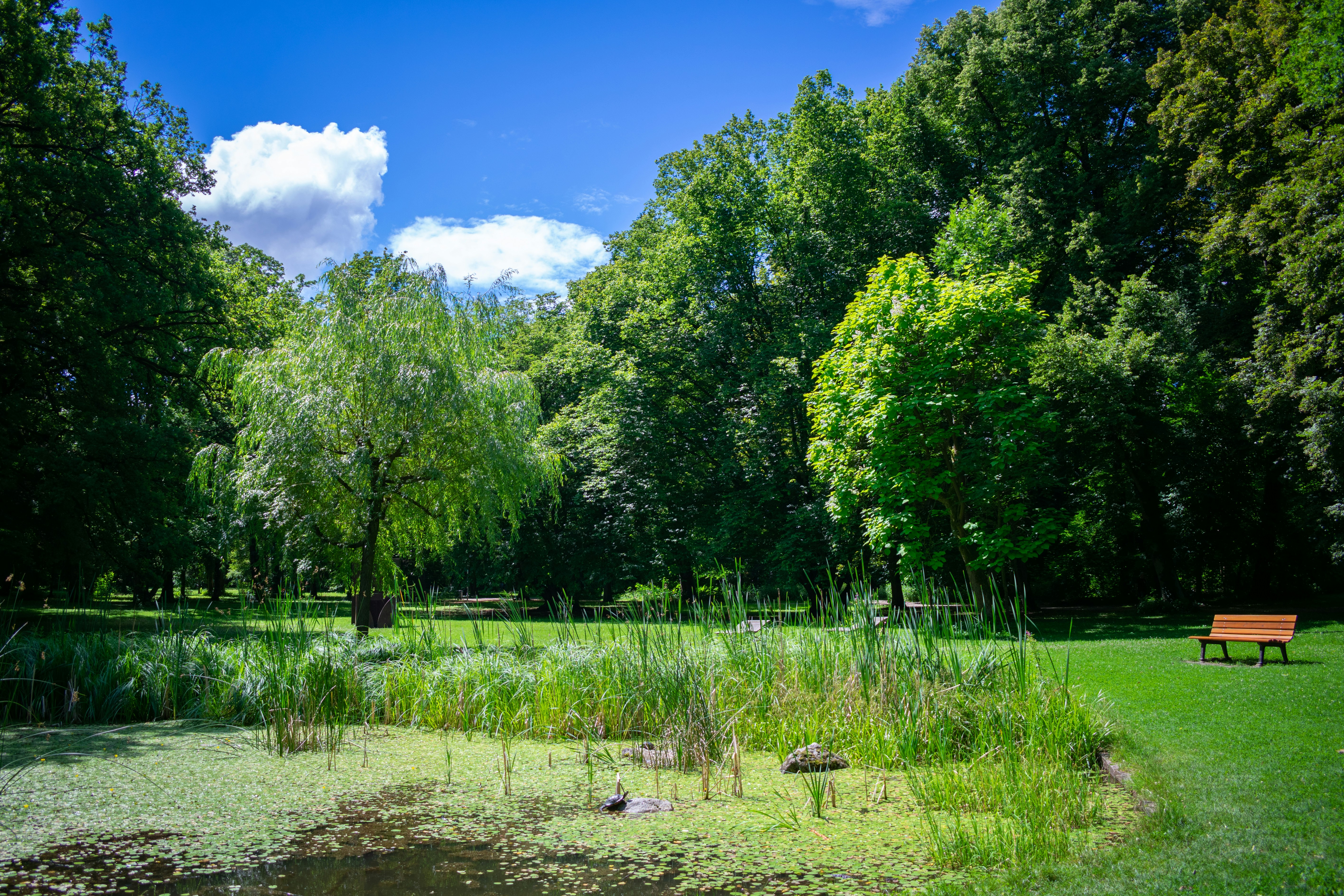 Photo by daniel_zopf