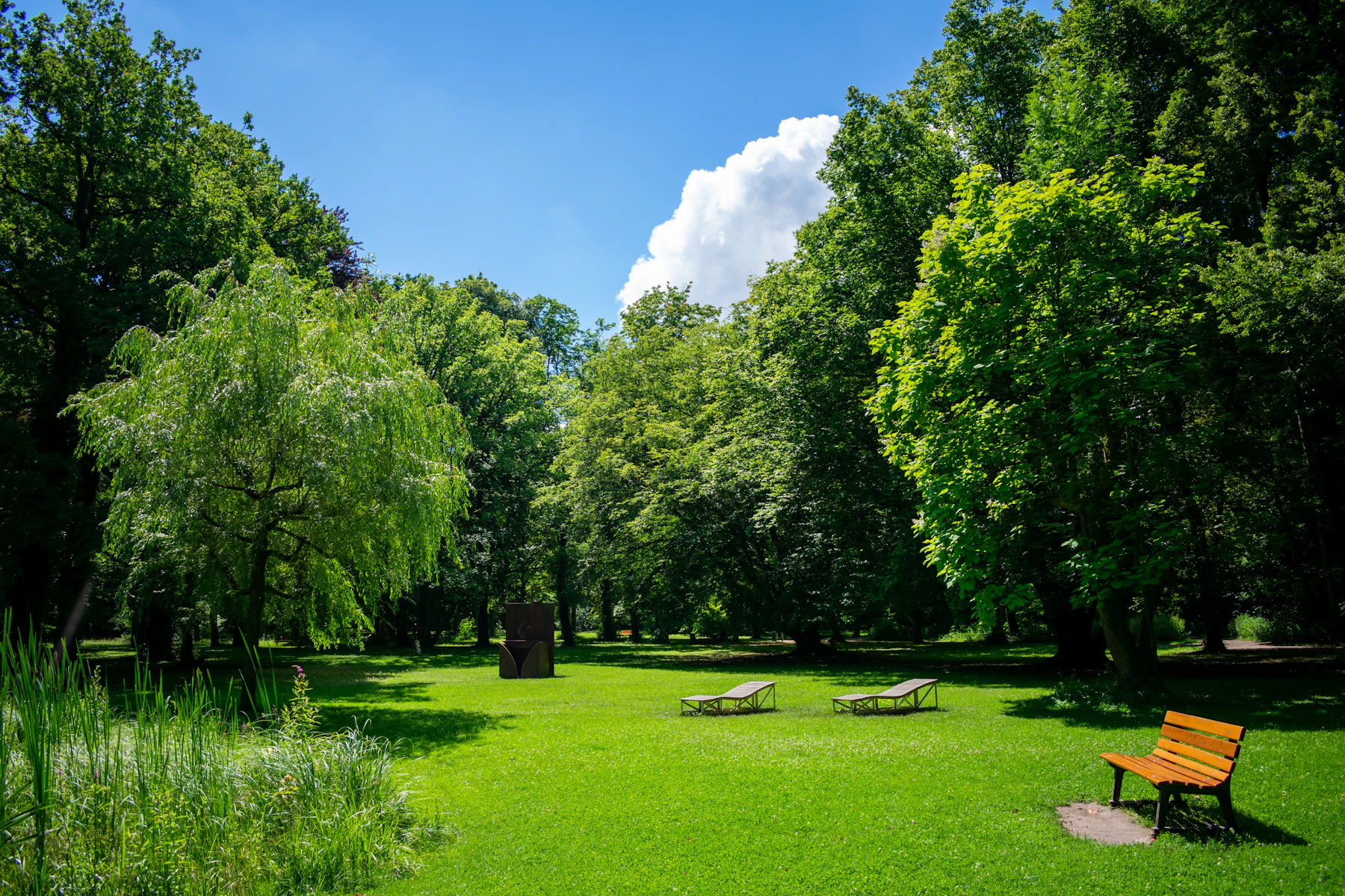 Pradera verde con árboles