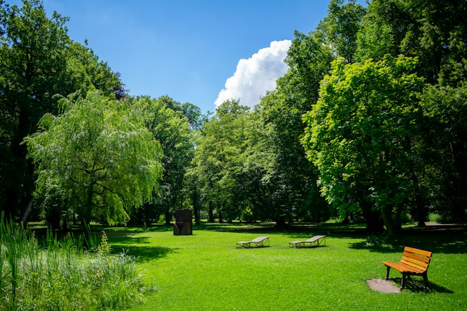 Families walking across a green grass park lawn under blue sky with mature trees