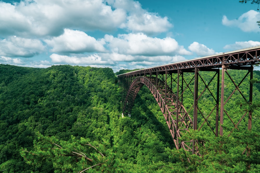 ponte di metallo grigio sopra gli alberi verdi sotto le nuvole bianche ed il cielo blu durante il giorno