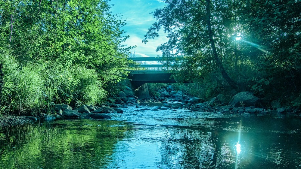 green bridge over river during daytime