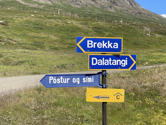 A set of directional road signs in a grassy, rural landscape. The signs are blue and yellow, pointing to locations with text in a Nordic language. A worn dirt road and lush green hillside with subtle wildflowers extend into the distance.
