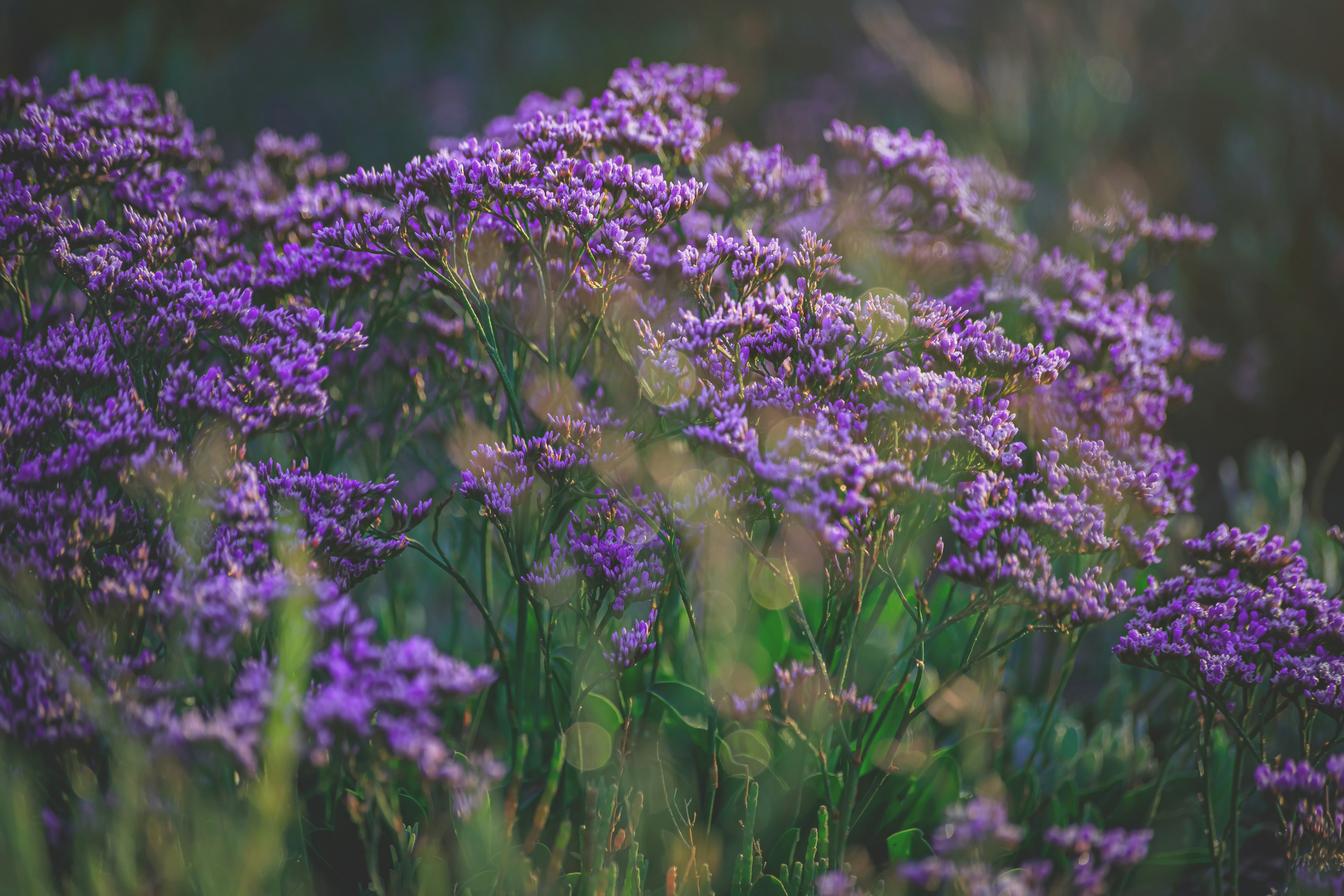 Photo by arizonanthony