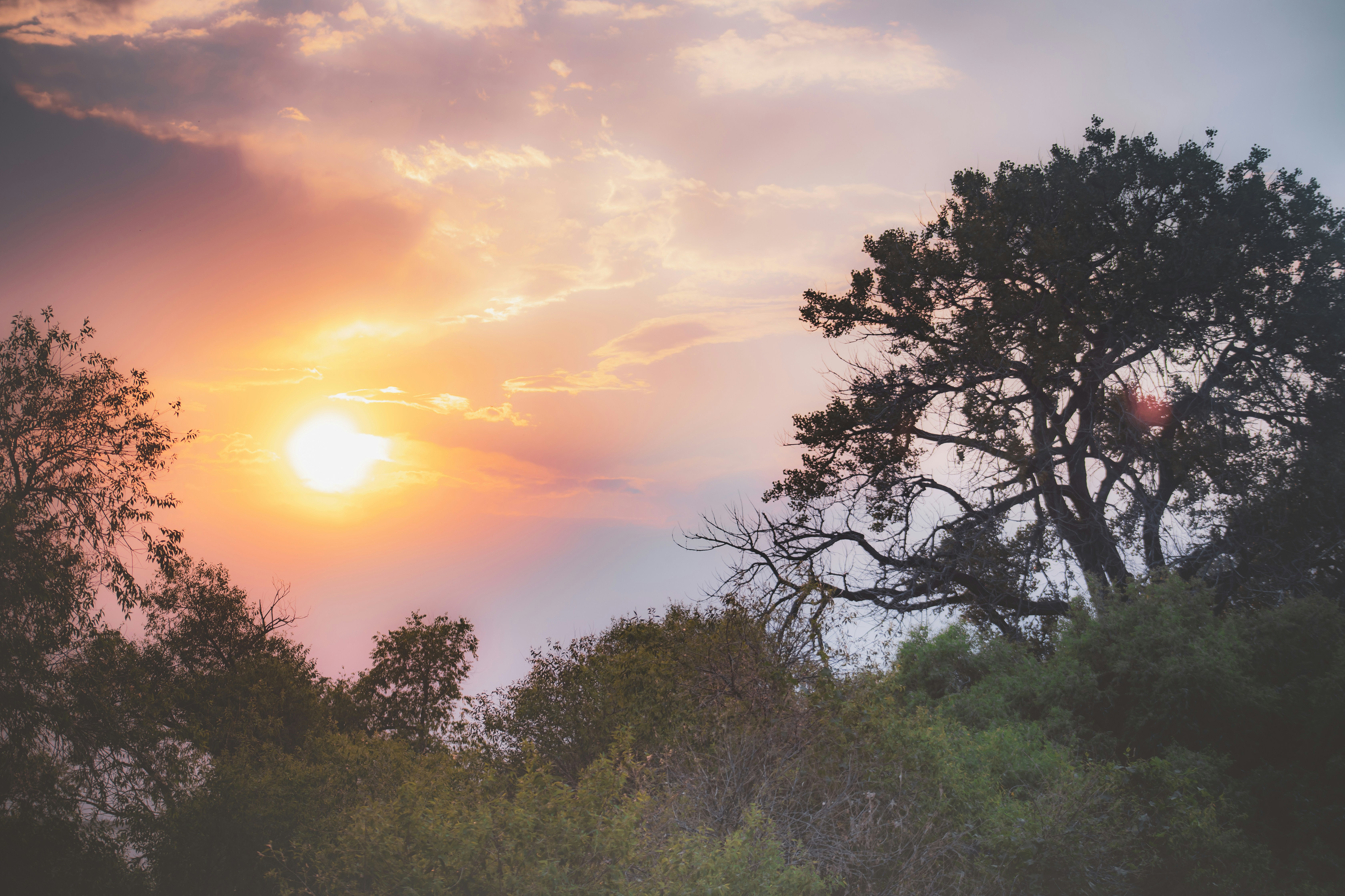 Photo by photosoflogan