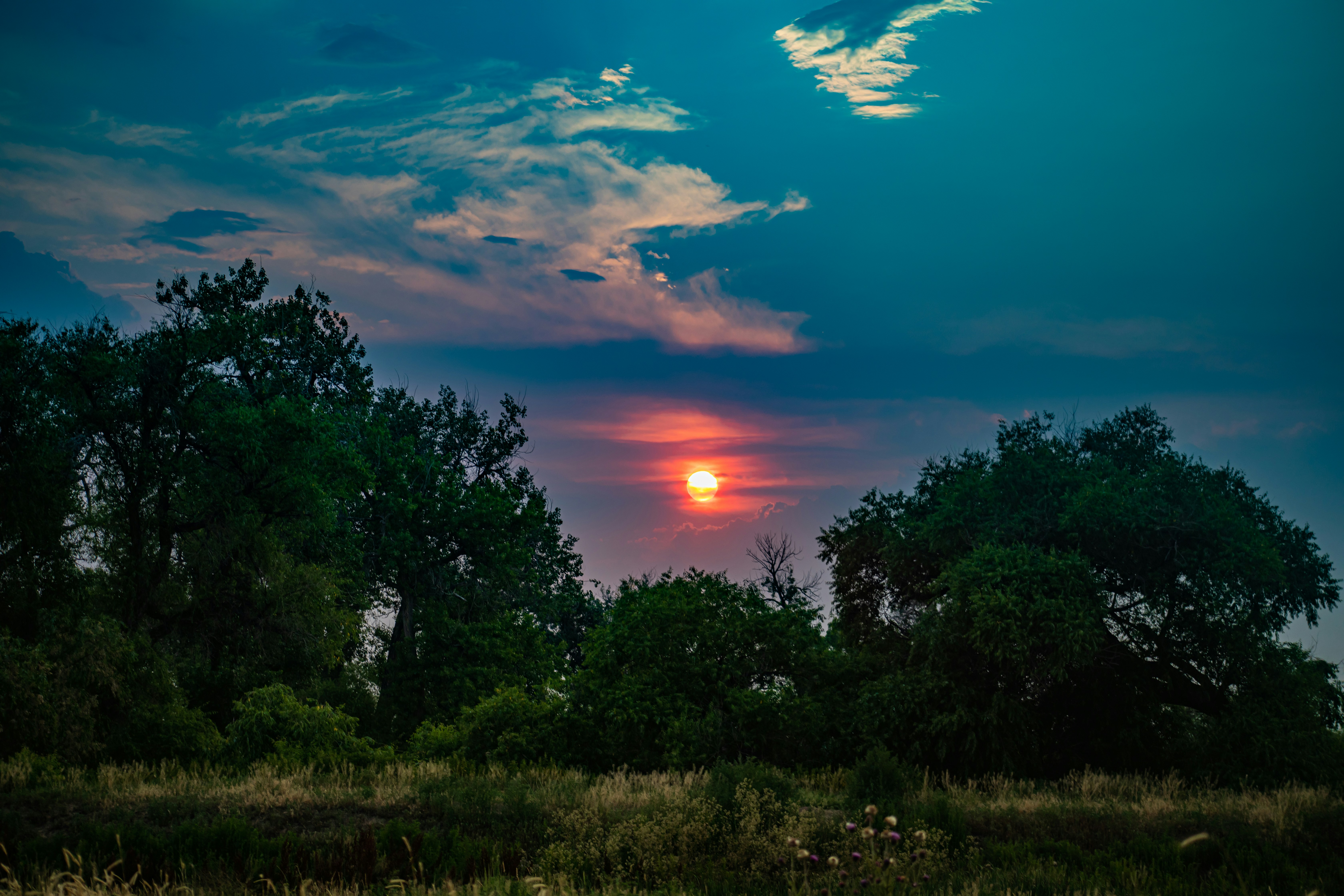 Photo by photosoflogan