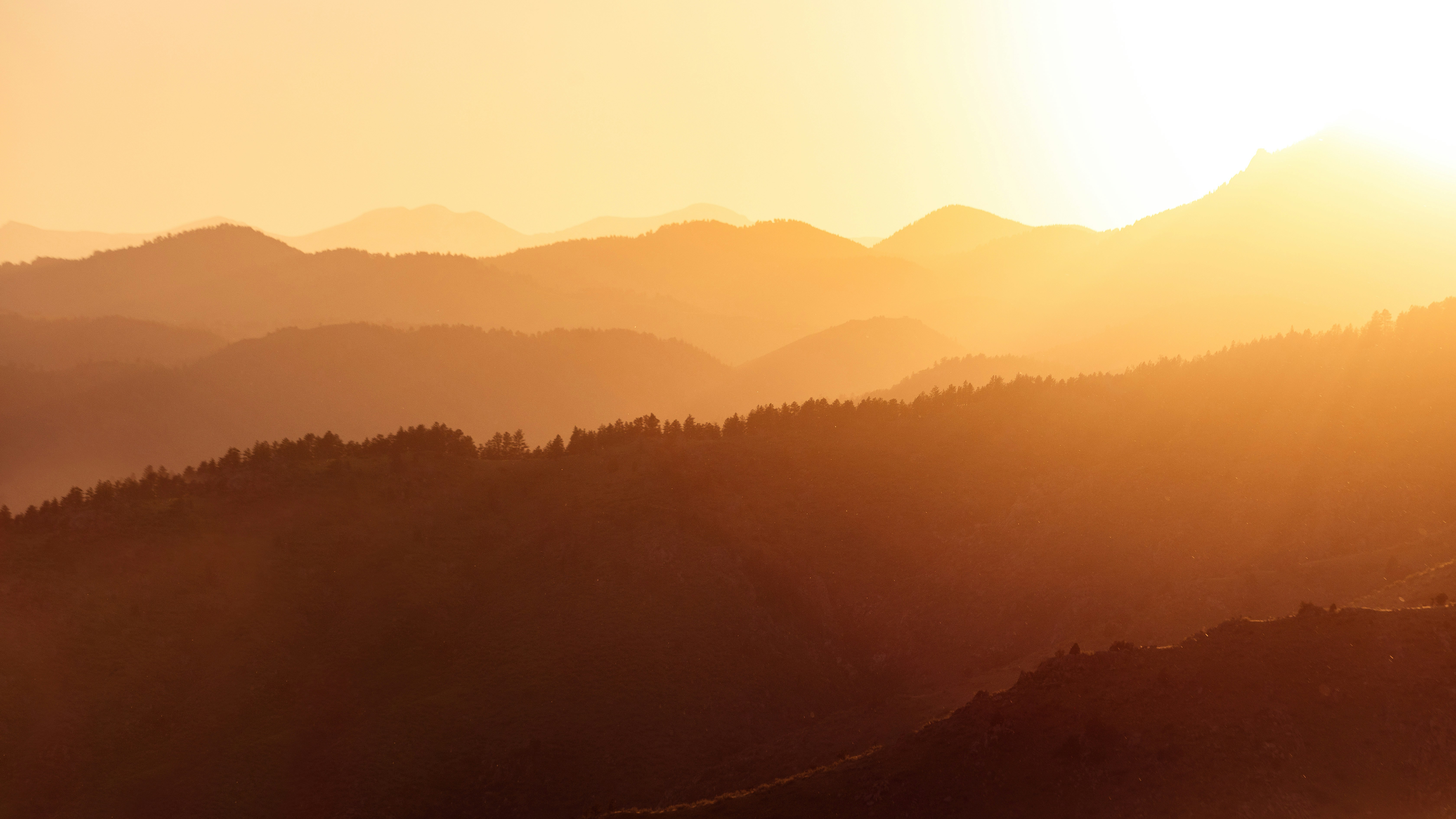 Photo by davidglessnerworks