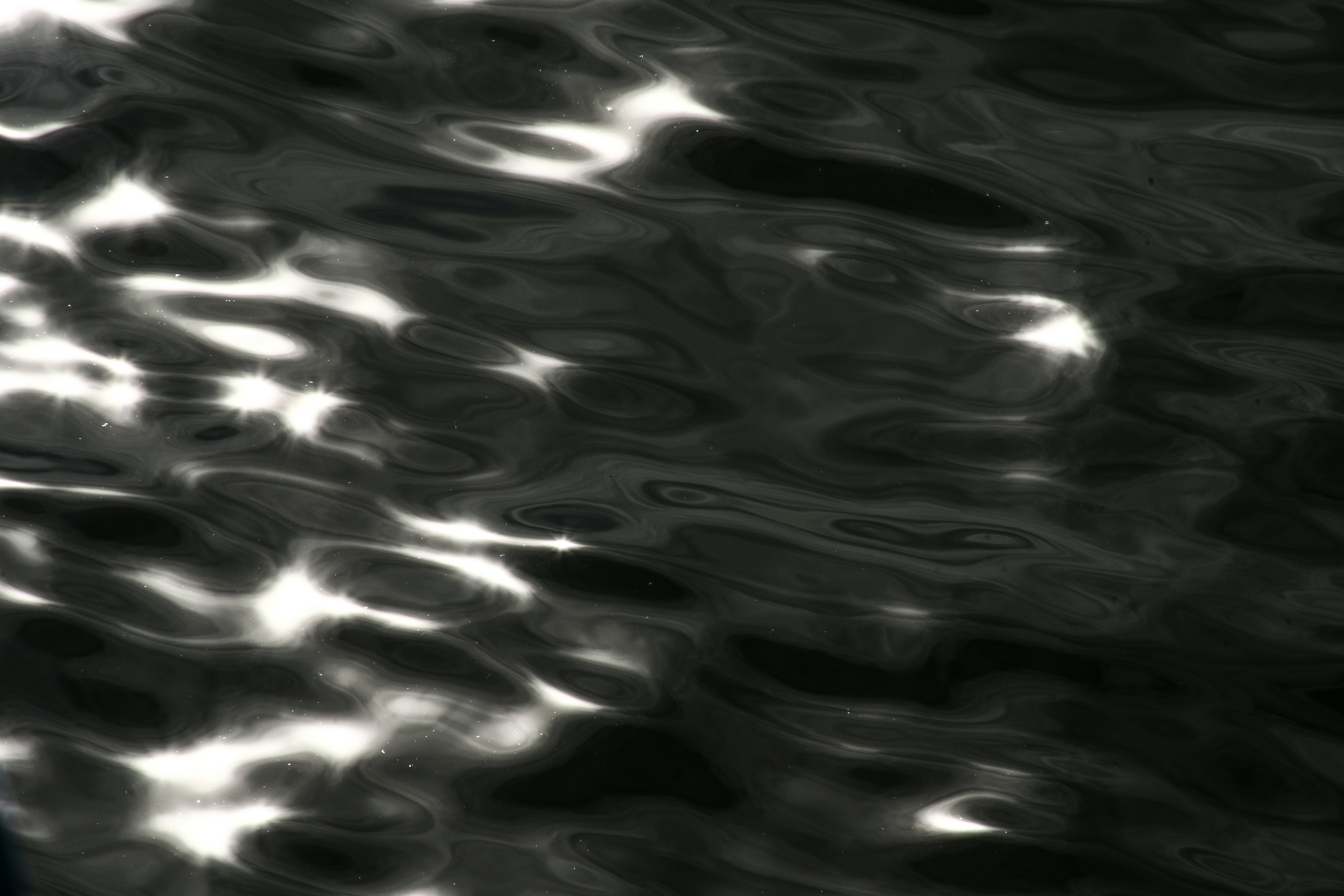 Photo by oskaycaglar